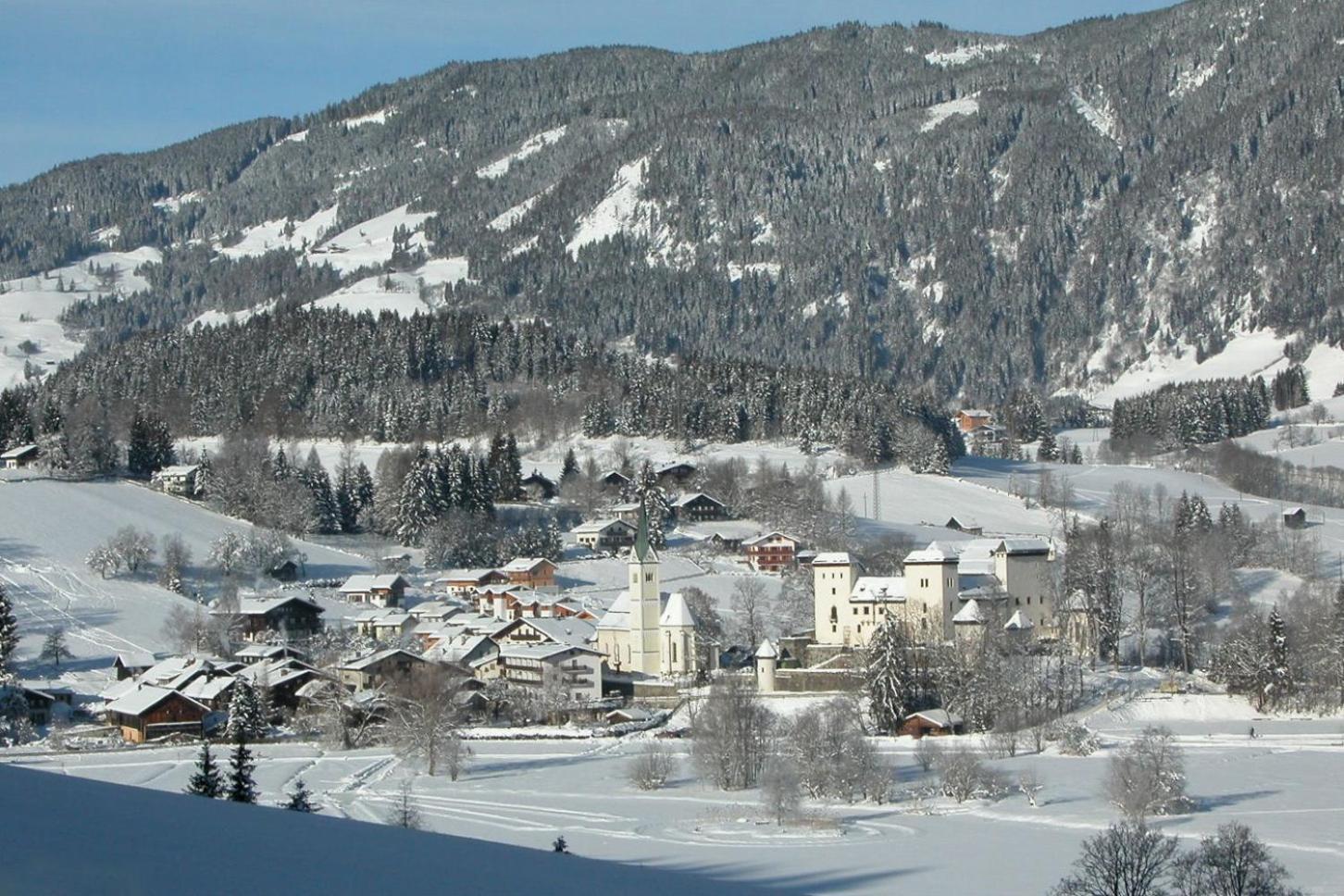 Bio-Bauernhof Reitmayrgut Goldegg Zewnętrze zdjęcie